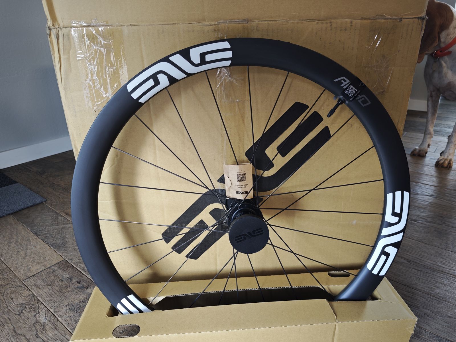 Enve AR40 700c rear wheel 12x142, CL, HG