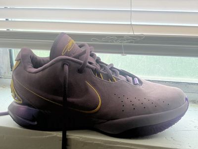 Nike Lebrons Basketball Shoes Size 10