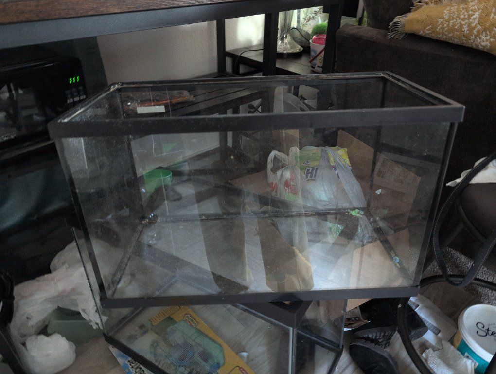 10 gallon tanks