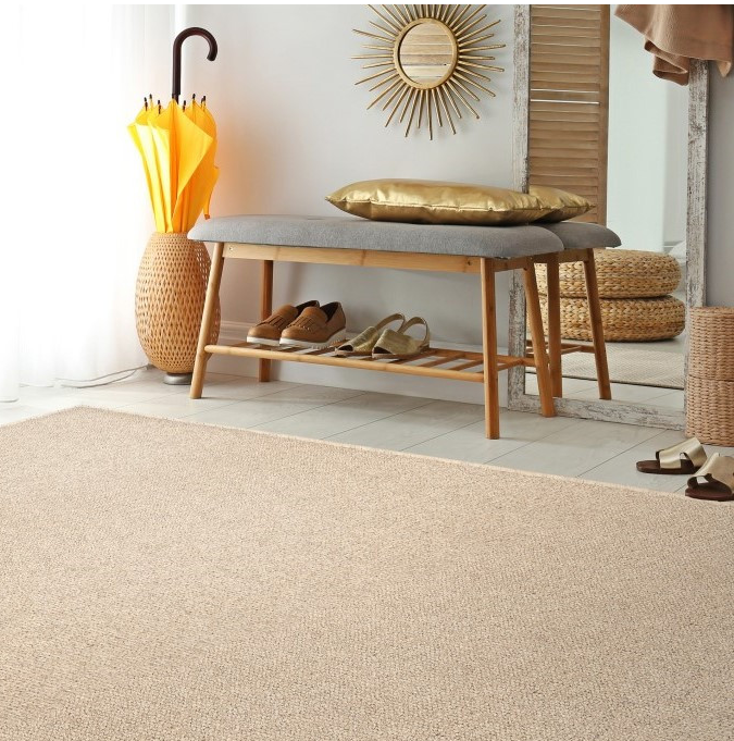 Carpet Remnant