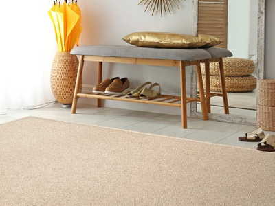Carpet Remnant