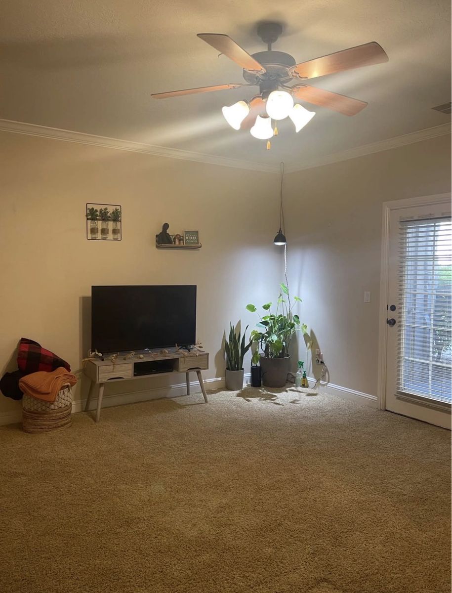 Female Private Room in 3 bed 2 bath apartment