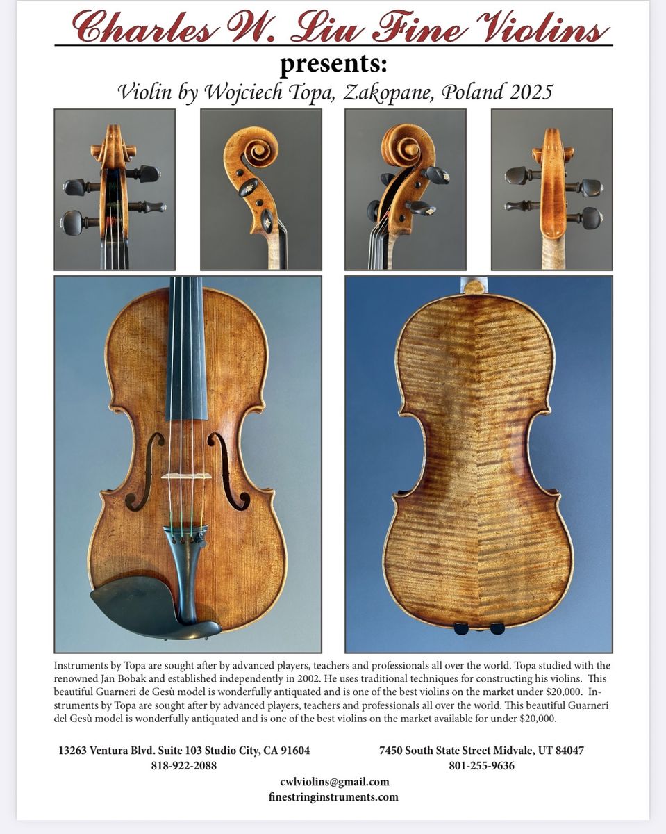 Violin by Wojciech Topa, Zakopane, Poland 2025