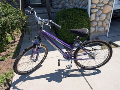 Bike Schwinn Women's Comfort/Hybrid Bike – Tuned Up & Ready to Ride – $150 OBO