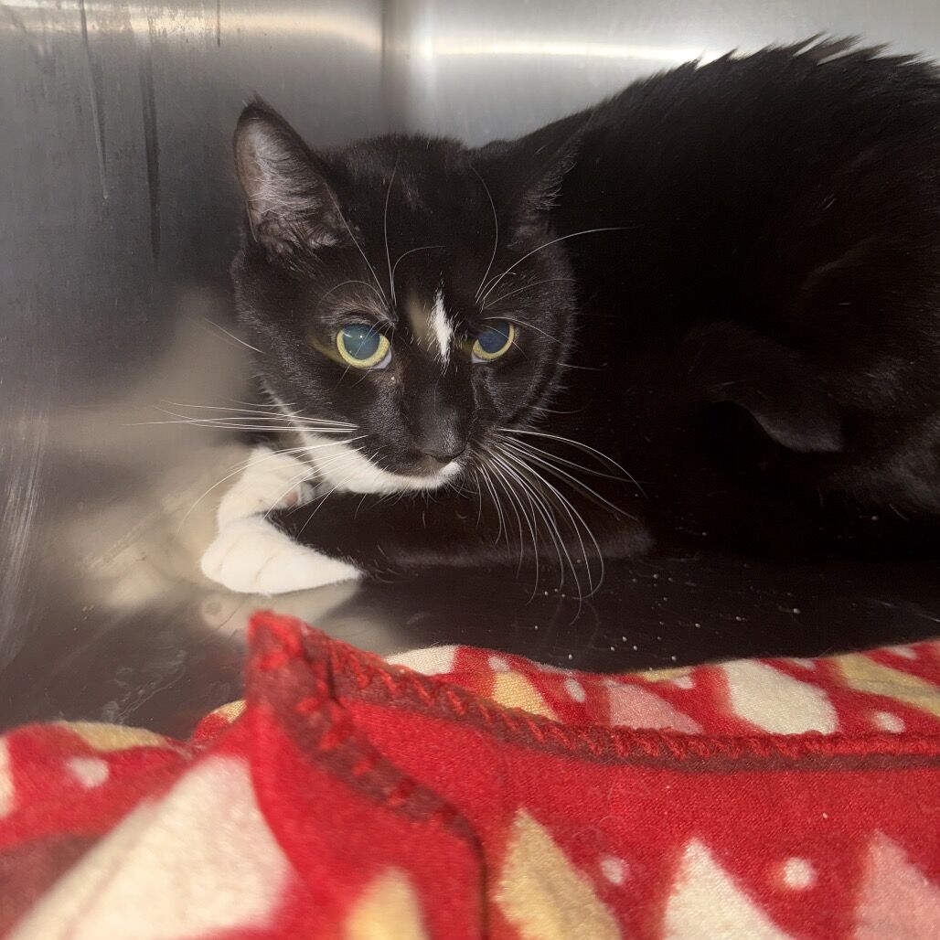 Hello my name is Budah