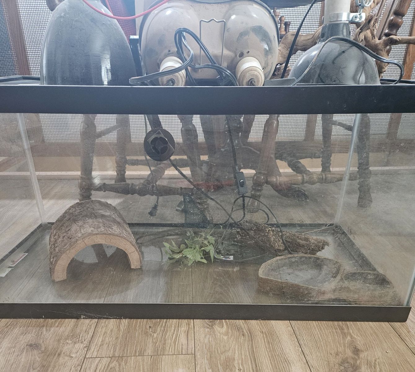 Reptile Cage