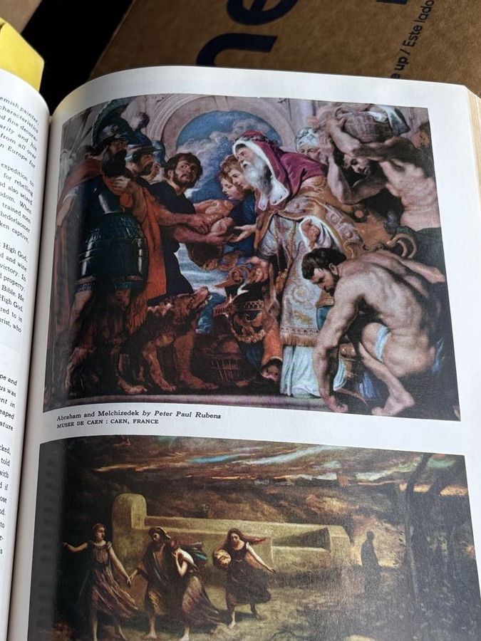 Main image 6