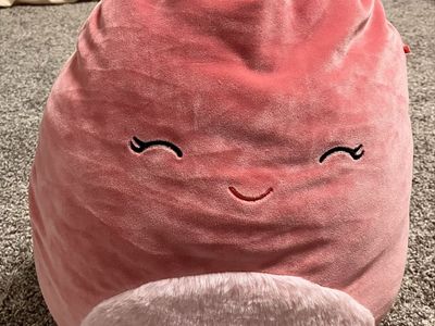 12 inch cherry the plum Squishmallow