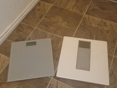 Taylor Digital Bathroom Scales