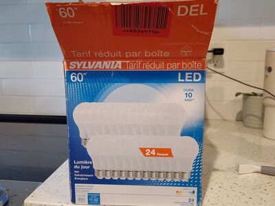60 W Daylight LED Bulb