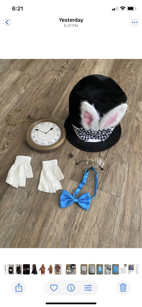 The White Rabbit / Mad Hatter Halloween Costume Accessories 