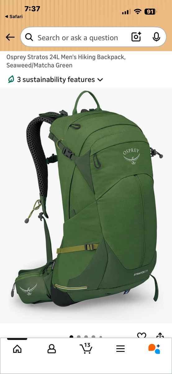 Osprey 24L Stratos 2 Seaweed Green