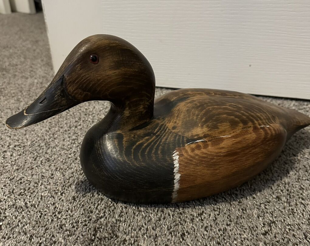 Beautiful Canvasback Duck Decoy