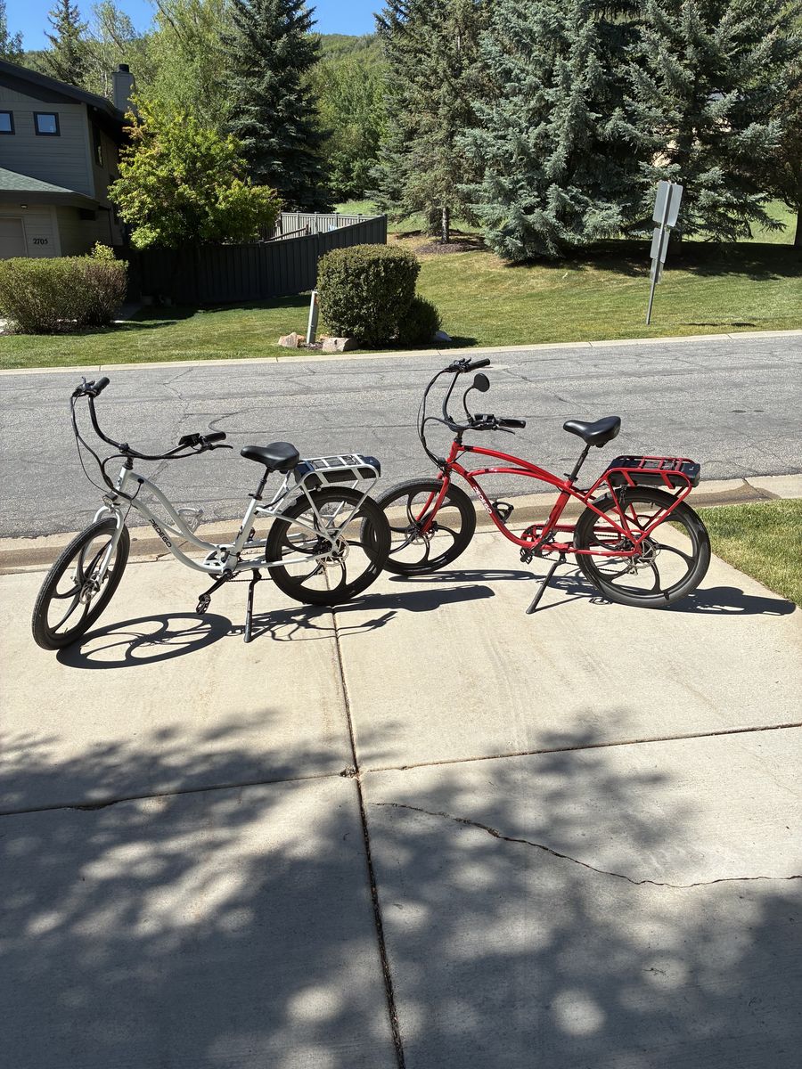 Pedego Interceptors