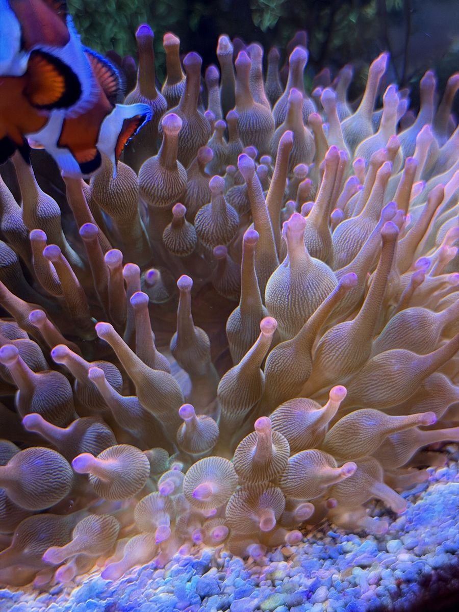 Main image 2