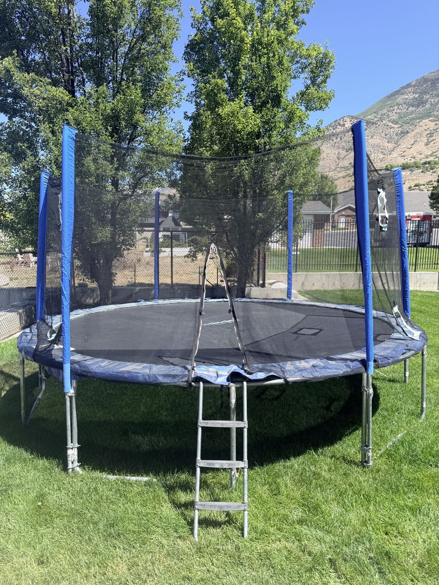 Free Used Outdoor Trampoline with Safety Enclosure and Ladder