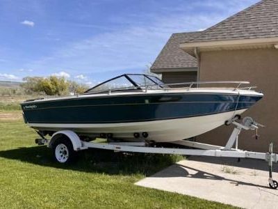 1983 BEACH CRUISER FISHING/SKI BOAT