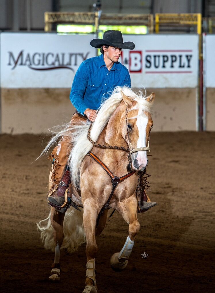 Cowhorse Training Colt Starting