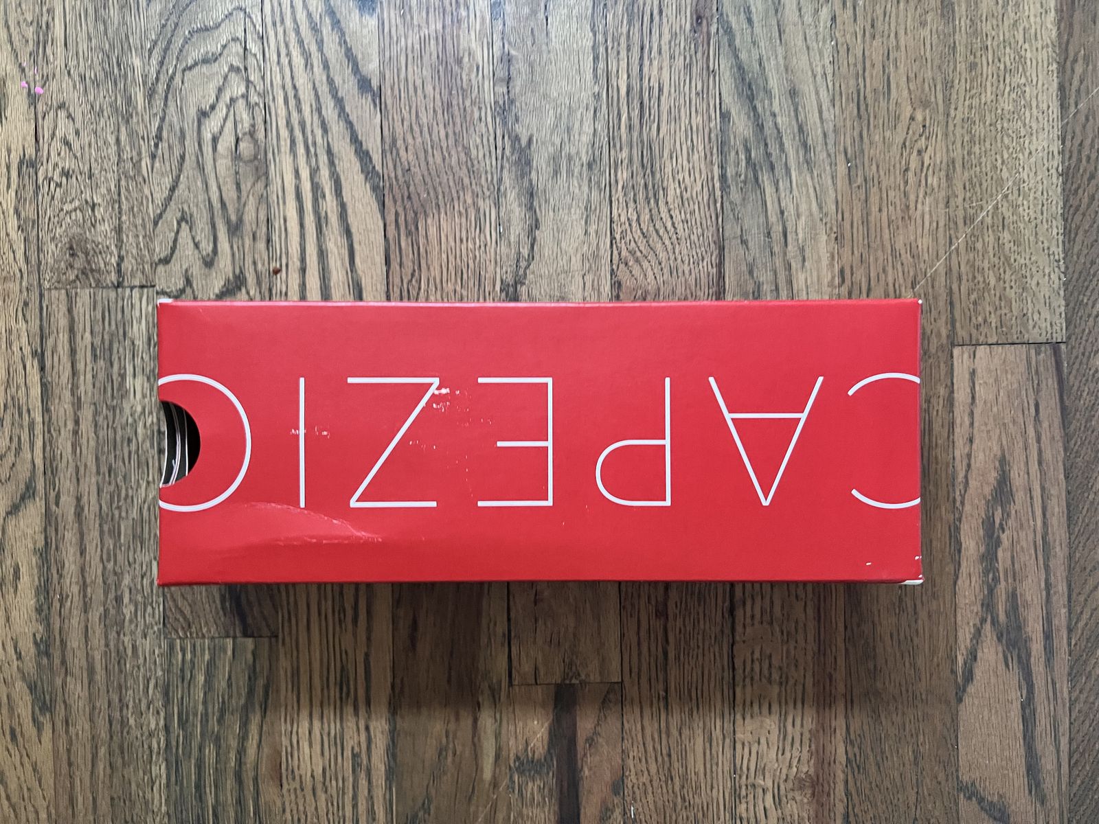Capezio Point shoe