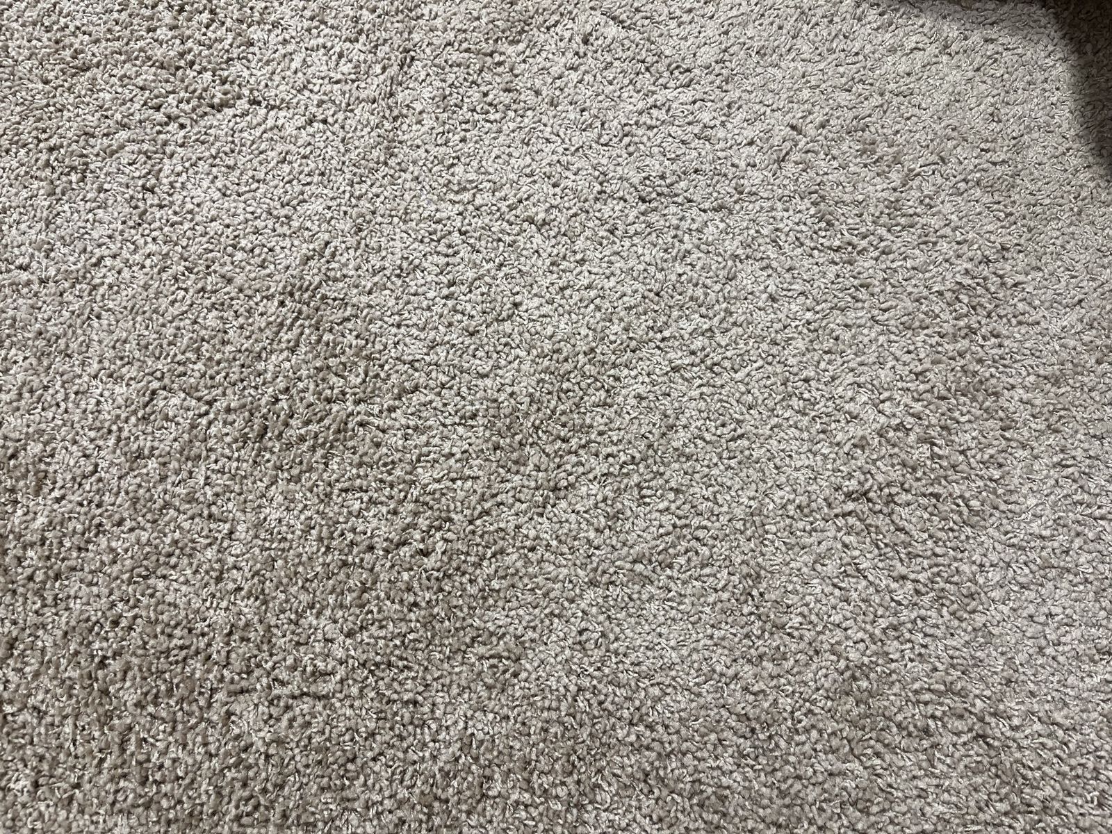 Main image 8