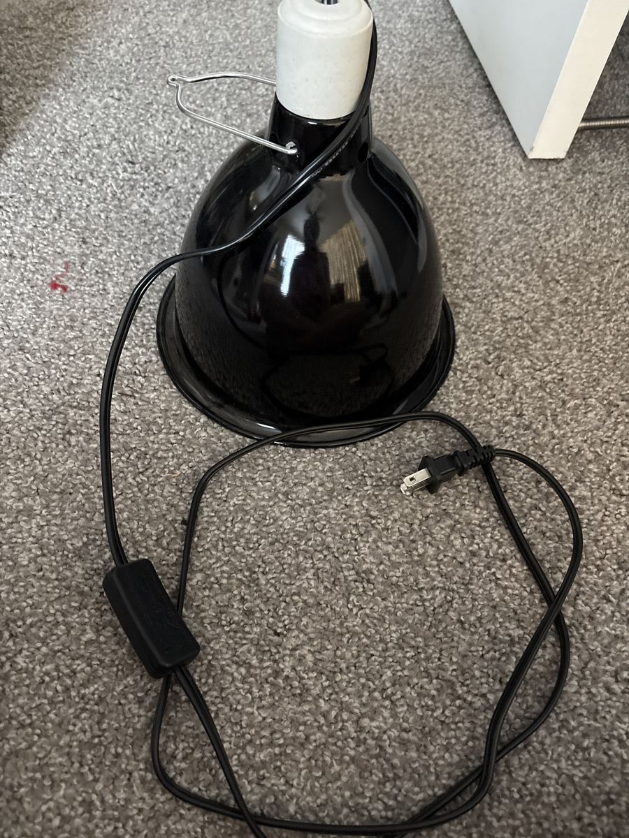 Black Dome Heat Lamp Fixture with Inline Switch for Reptiles/Chicks