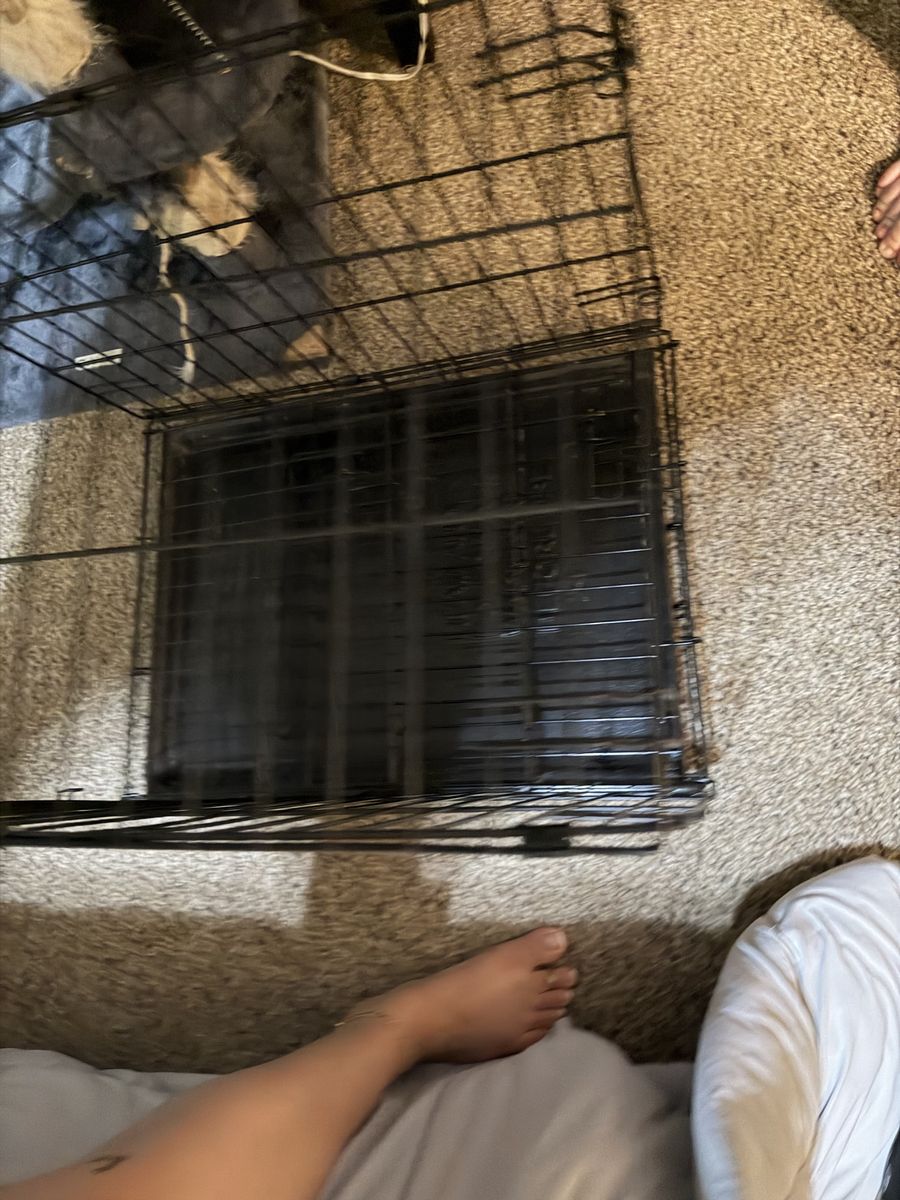 Pet Carrier Cage Wire Metal Black