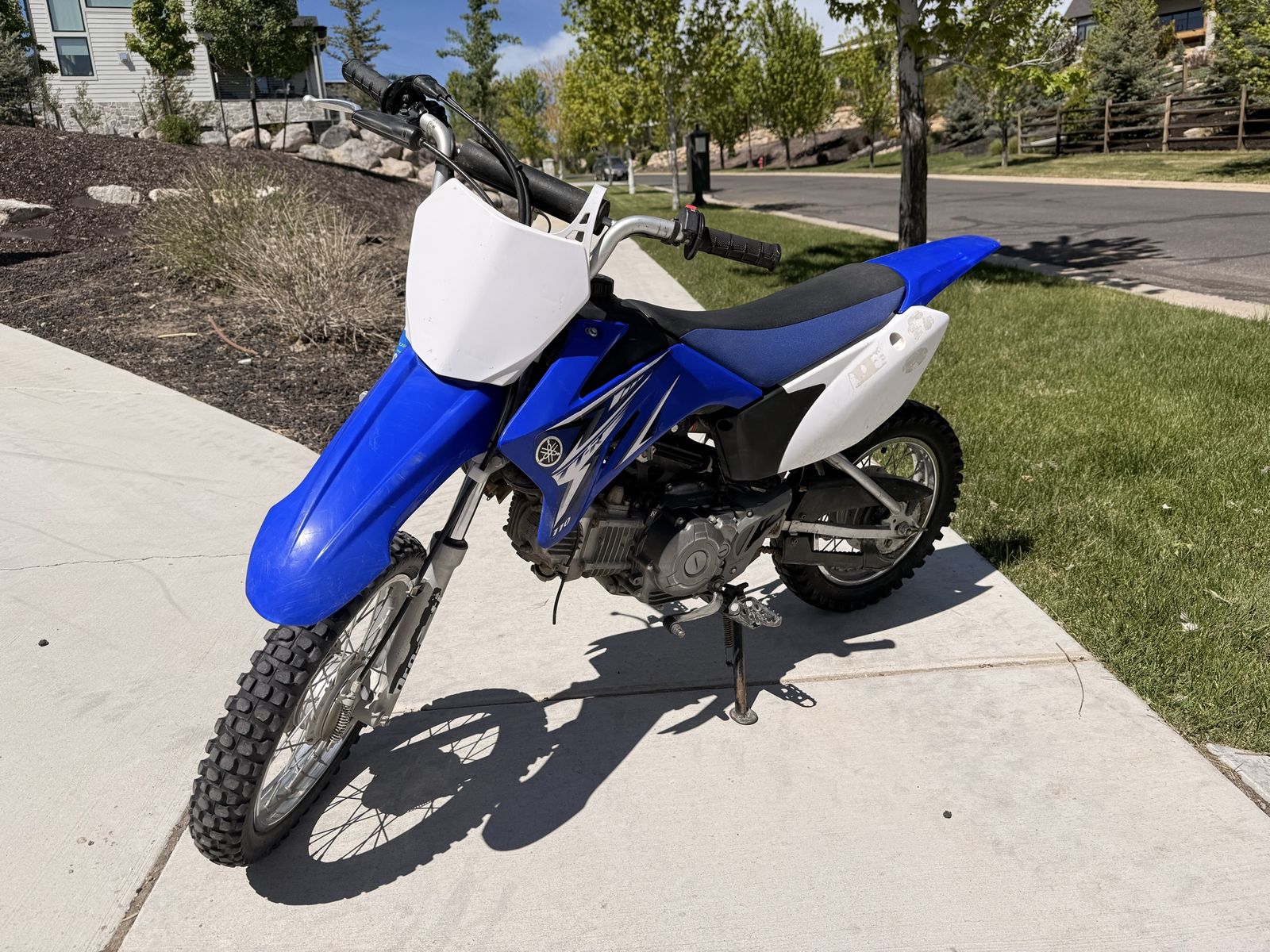 2008 Yamaha TTR 110