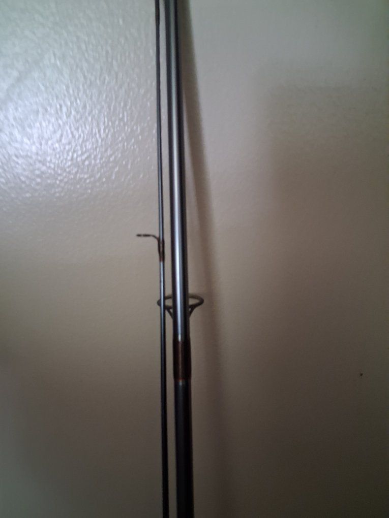 Daiwa D-Force Fishing Rod and Spinning Reel Combo