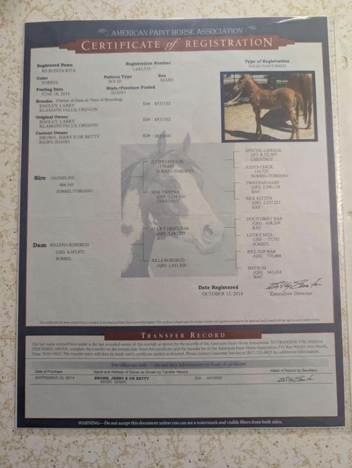 Main image 5