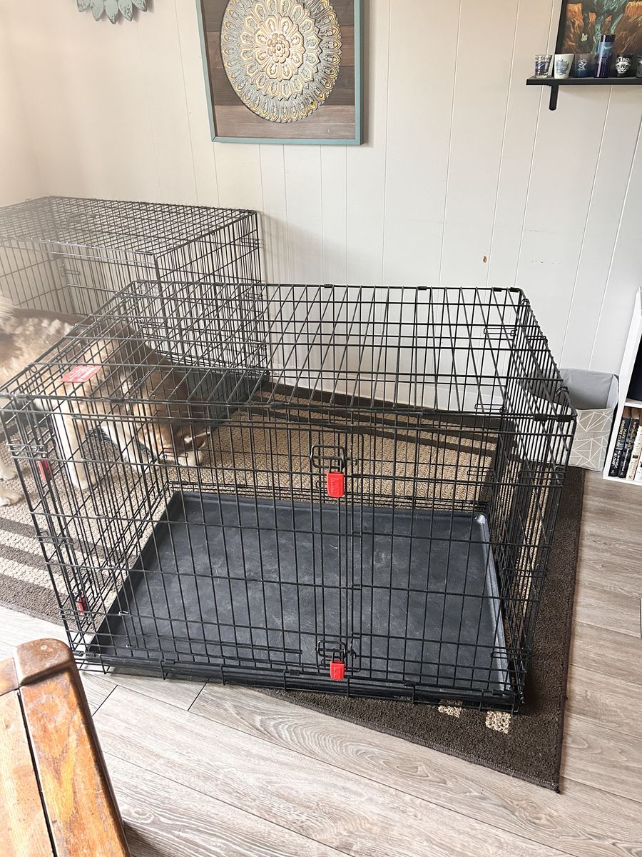 Large Dog Kennel