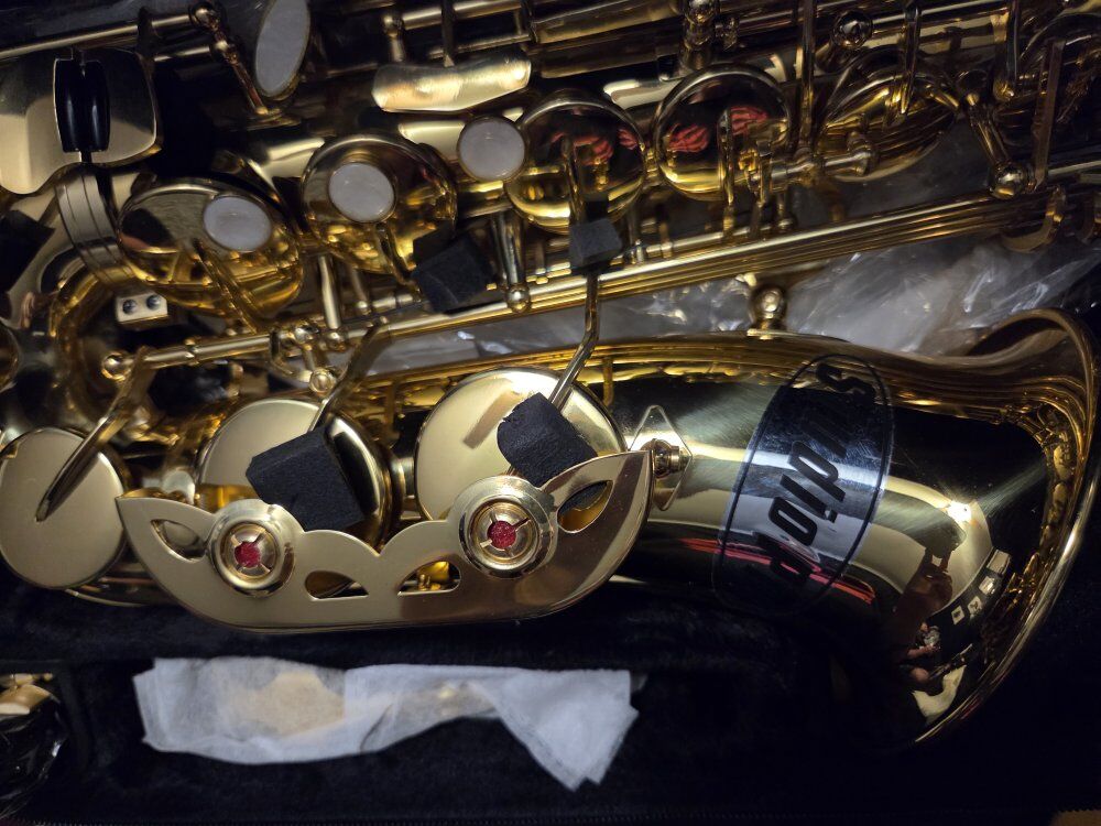 Alto Saxophone