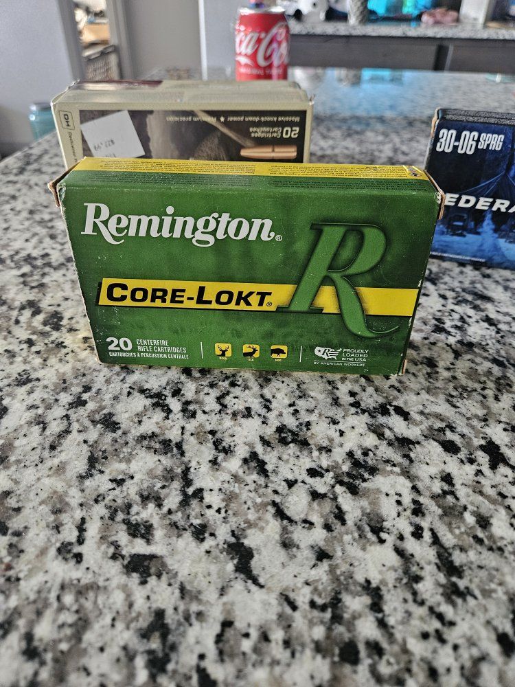 Remington Core-Lokt .30-06 SPRG 180 gr. PSP Centerfire Rifle Cartridges 20 ct.