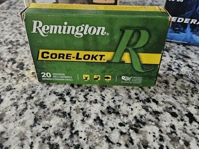 Remington Core-Lokt .30-06 SPRG 180 gr. PSP Centerfire Rifle Cartridges 20 ct.