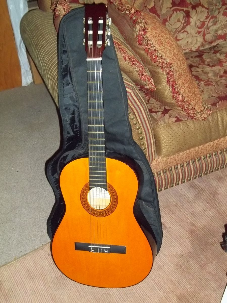 Lucinda Classical Student Accustic Guitar with Soft Case