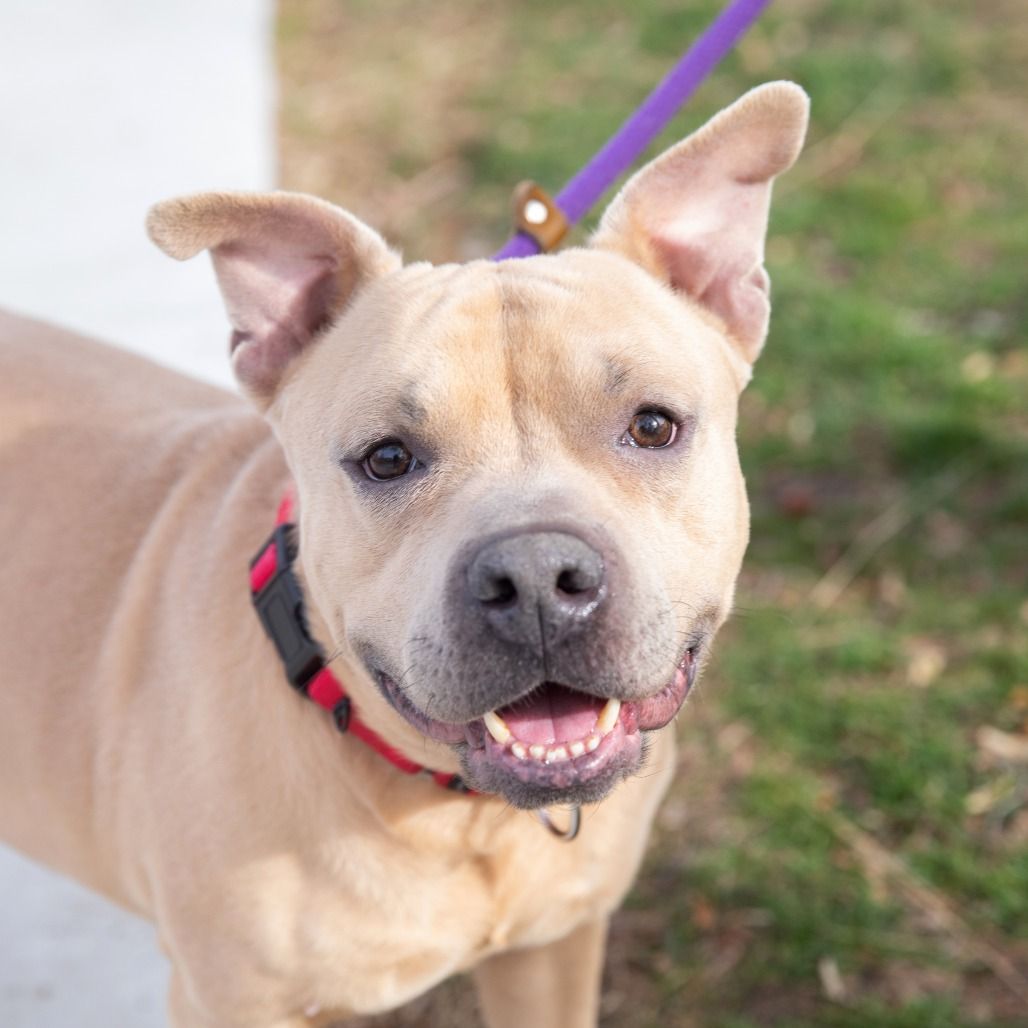 Hello my name is McLovin