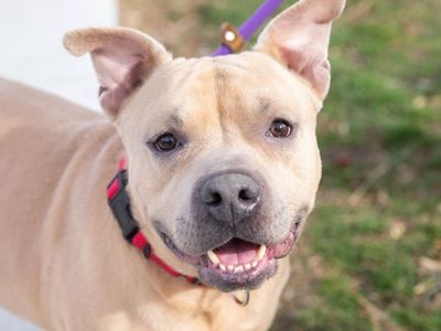 Hello my name is McLovin