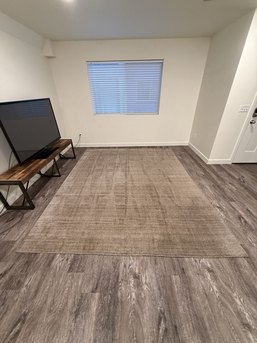 Large Gray Area Rug - Good Condition