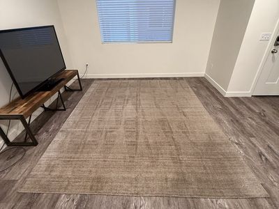 Large Gray Area Rug - Good Condition