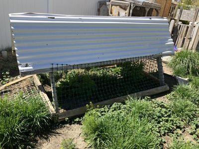 Free Chicken Tractor