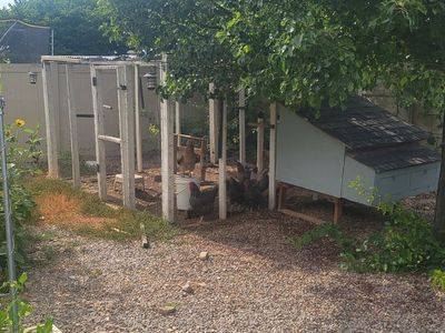 Chicken coop and run