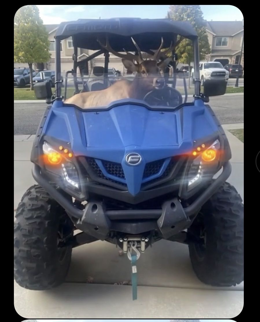 2021 CFMOTO ZFORCE Blue Side-by-Side UTV