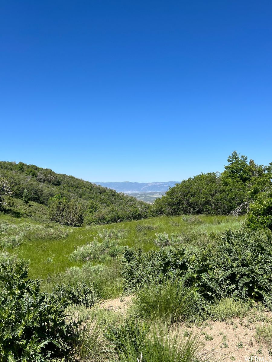 Main image 8