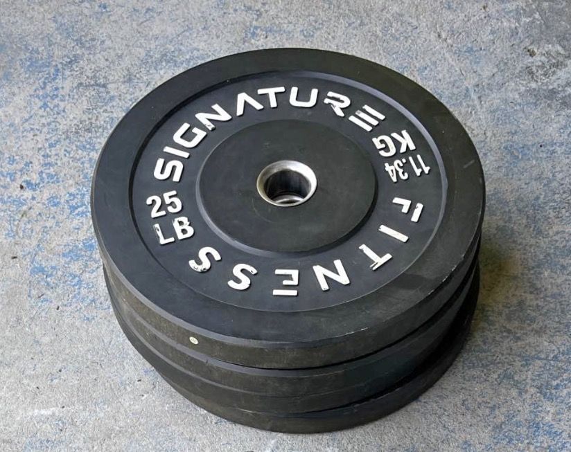 100 lbs weight plate