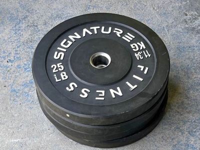100 lbs weight plate