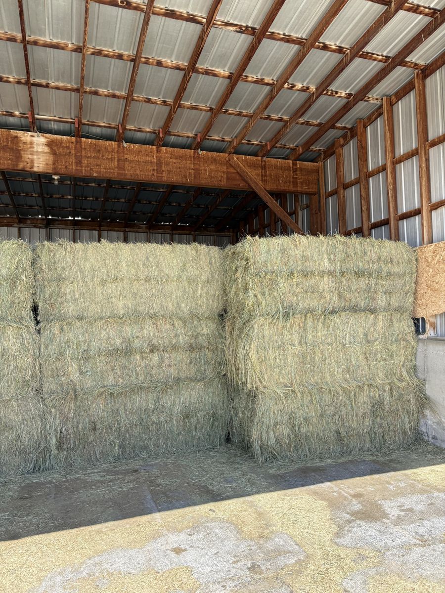 Great grass hay
