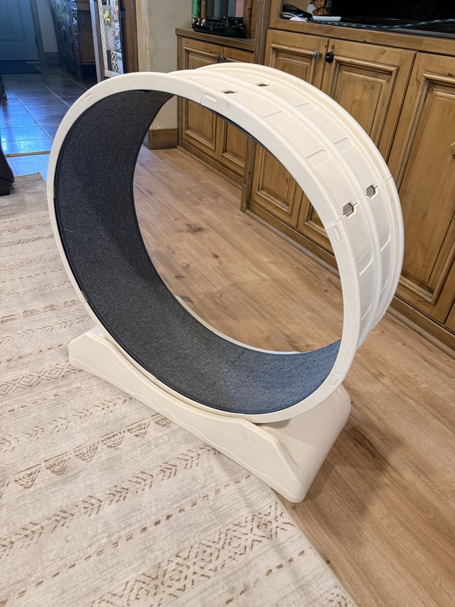 Cat Wheel 34 Inch Indoor Pet Running Treadmill