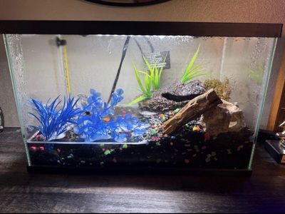 Glass Aquarium Fish Tank with Hood Light, Artificial Decor and Care Supplies Bundle