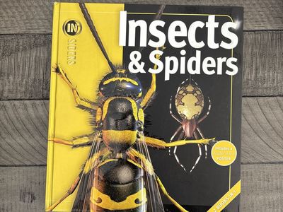 IN SIDERS Insects & Spiders 2-Books-in-1 Educational Book with Double-Sided Poster