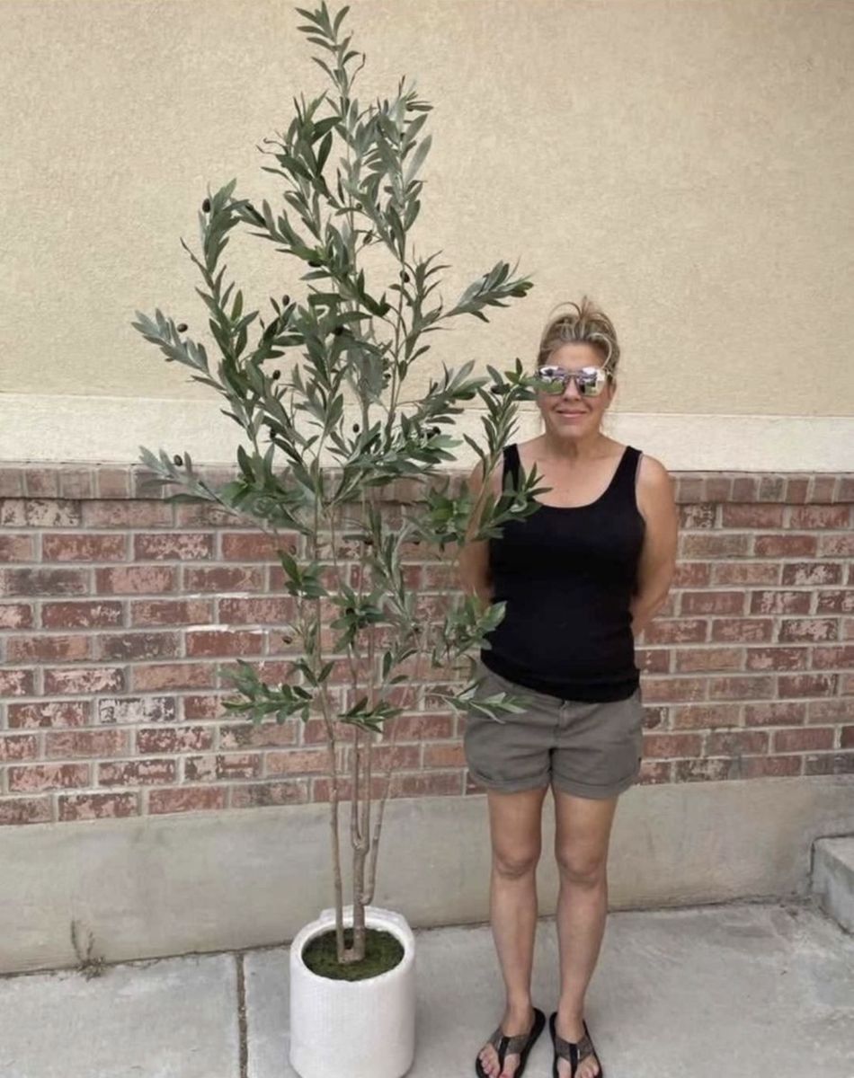 New. 7’ Large Artificial Olive Tree in White Pot