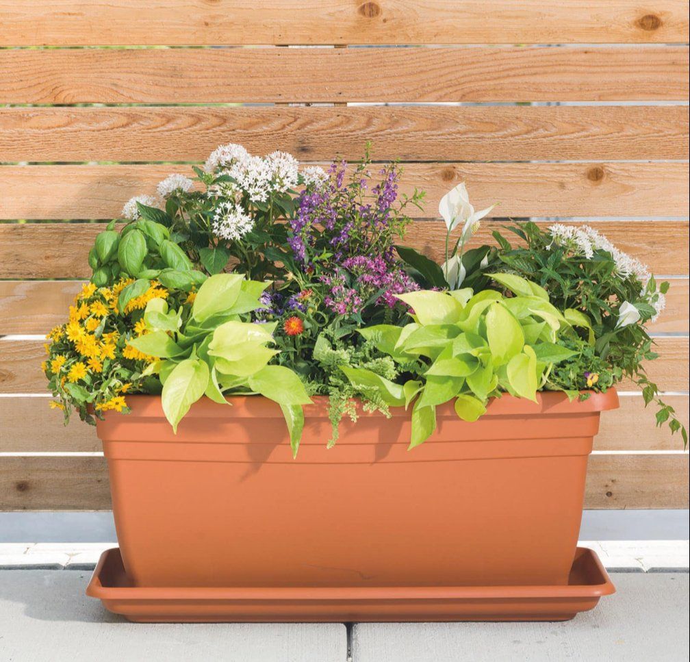 Nice New Planter Boxes with Drainage Holes and Saucers
